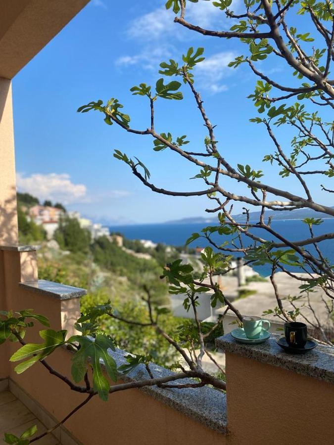 אומיס Panorama Apartment Jakov מראה חיצוני תמונה
